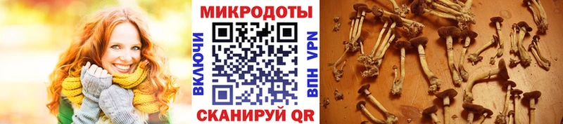 наркошоп  Уфа  Галлюциногенные грибы прущие грибы 